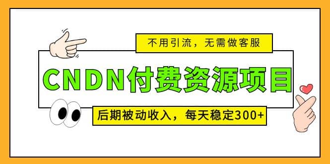CNDN付费资源项目，不用引流，无需做客服，后期被动收入-百盟网