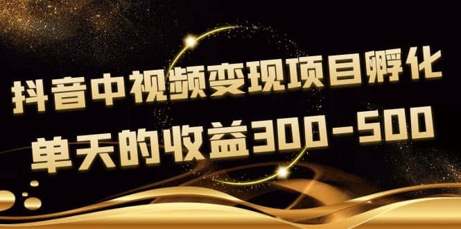 黄岛主《抖音中视频变现项目孵化》单天的收益300-500 操作简单粗暴-百盟网168