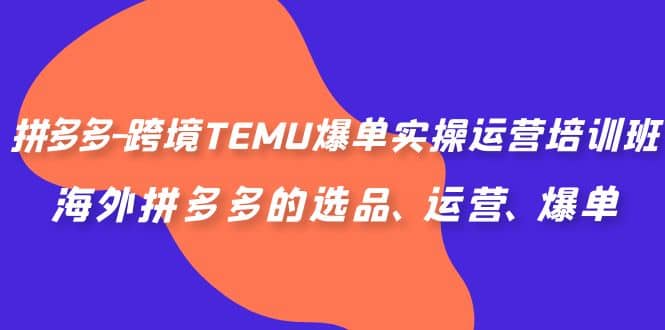 拼多多-跨境TEMU爆单实操运营培训班，海外拼多多的选品、运营、爆单-百盟网168