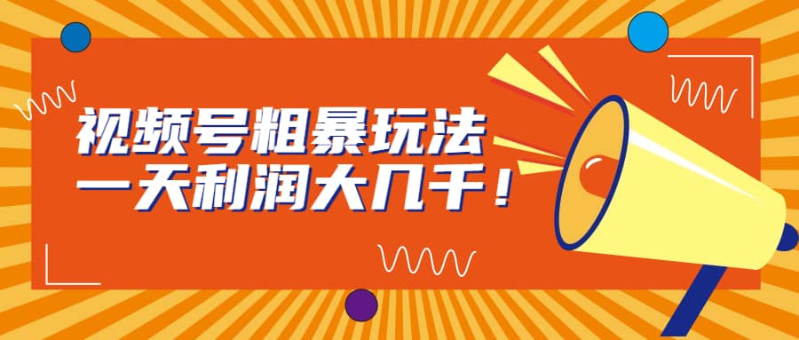 视频号粗暴玩法，一天利润大几千-百盟网168