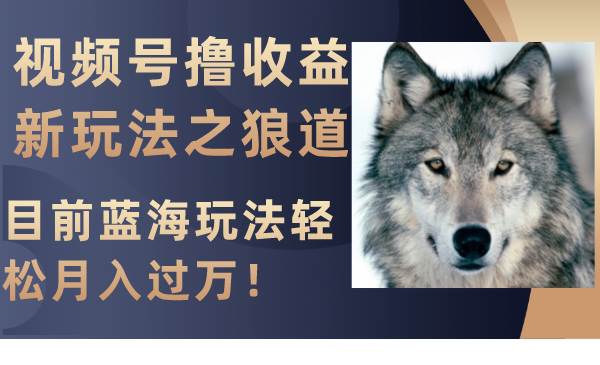 视频号撸收益新玩法之狼道，目前蓝海玩法轻松月入过万！-百盟网168