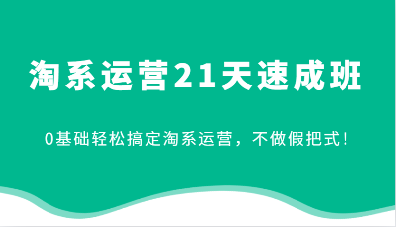 淘系运营21天速成班,0基础轻松搞定淘系运营,不做假把式!-百盟网