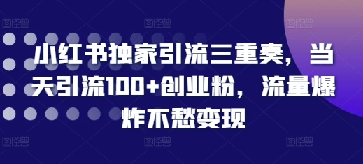 小红书独家引流三重奏，当天引流100+创业粉，流量爆炸不愁变现-百盟网