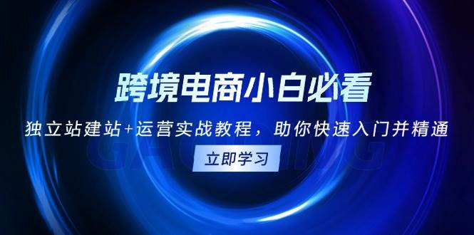 跨境电商小白必看！独立站建站+运营实战教程，助你快速入门并精通-百盟网