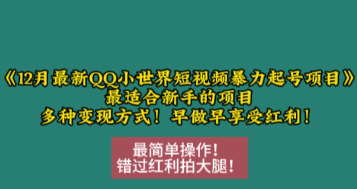 12月最新QQ小世界短视频暴力起号项目，最适合新手的项目，多种变现方式-百盟网