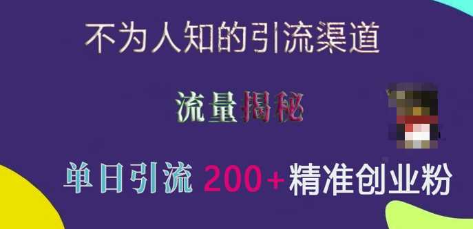 不为人知的引流渠道，流量揭秘，实测单日引流200+精准创业粉【揭秘】-百盟网
