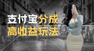 支付宝分成计划新玩法，利用交通事故视频，赚收益，轻松月入过W，操作简单【揭秘】-百盟网
