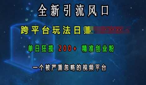 全新引流风口，跨平台玩法日入上k，单日狂揽200+精准创业粉，一个被严重忽略的视频平台-百盟网