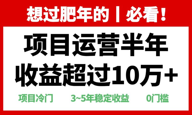 年前过肥年的必看的超冷门项目,半年收益超过10万+,-百盟网