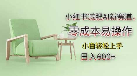 小红书减肥AI新赛道，零成本易操作，日入多张，小白轻松上手【揭秘】-百盟网