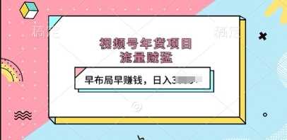 视频号年货项目，流量贼猛，早布局早挣钱，日入上k【揭秘】-百盟网