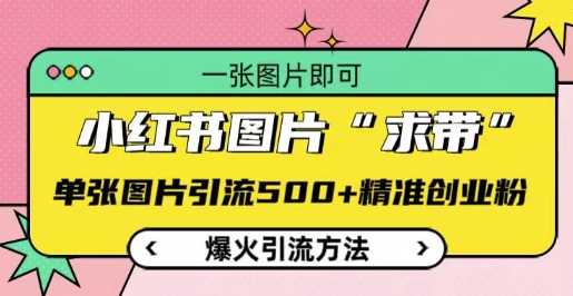 小红书图片‘求带’爆火引流法，单张图片引流500+精准创业粉【揭秘】-百盟网