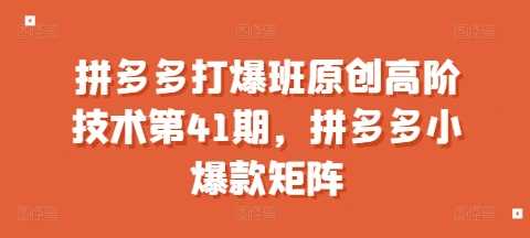 拼多多打爆班原创高阶技术第41期，拼多多小爆款矩阵-百盟网