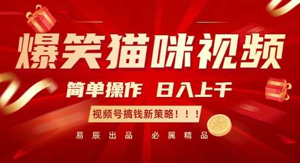 爆笑猫咪视频：简单操作，日入过K，视频号搞钱新策略【揭秘】-百盟网