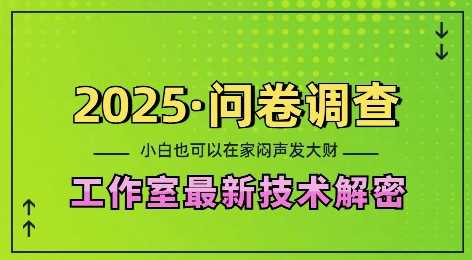 2025问卷调查最新工作室技术解密：一个人在家也可以闷声发大财，小白一天2张，可矩阵放大【揭秘】-百盟网