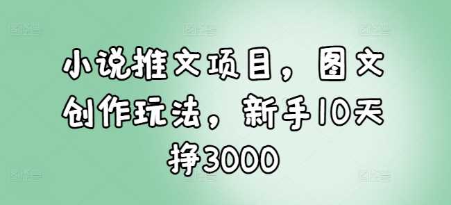 小说推文项目，图文创作玩法，新手10天挣3000-百盟网