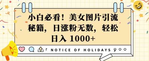 小白必看，美女图片引流秘籍，日涨粉无数，轻松日入几张【揭秘】-百盟网