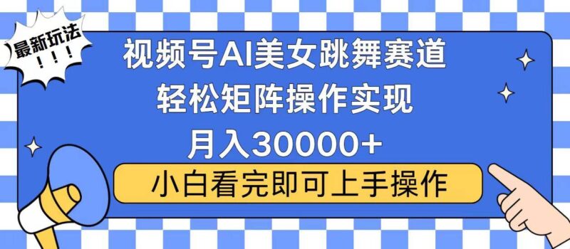 视频号蓝海赛道玩法，当天起号，拉爆流量收益，小白也能轻松月入30000+-百盟网