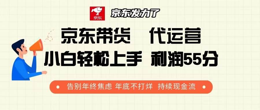 京东带货 代运营 利润55分 告别年终焦虑 年底不打烊 持续现金流-百盟网