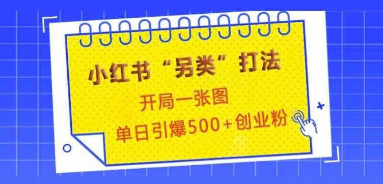 小红书“另类”打法，开局一张图，单日引爆500+精准创业粉【揭秘】-百盟网