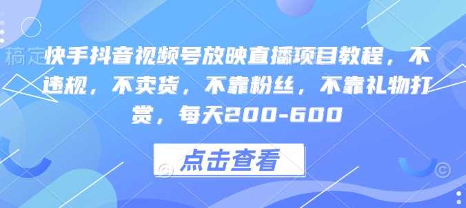 快手抖音视频号放映直播项目教程，不违规，不卖货，不靠粉丝，不靠礼物打赏，每天200-600-百盟网