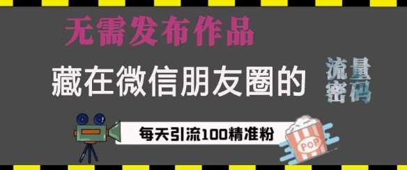 藏在微信朋友圈的流量密码，无需发布作品，单日引流100+精准创业粉【揭秘】-百盟网
