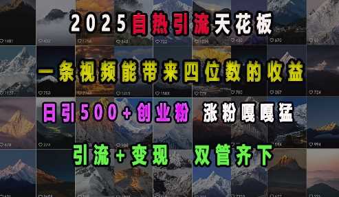2025自热引流天花板，一条视频能带来四位数的收益，引流+变现双管齐下，日引500+创业粉，涨粉嘎嘎猛-百盟网