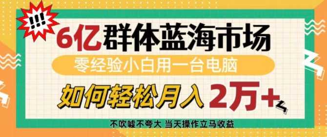 6亿群体蓝海市场，零经验小白用一台电脑，如何轻松月入过w【揭秘】-百盟网