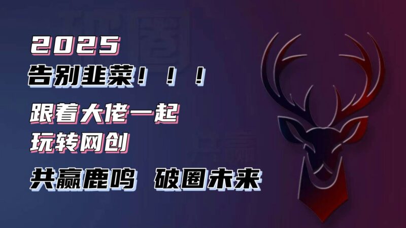 告别韭菜!2025知识付费风口项目,小白也能闭眼操作!-百盟网