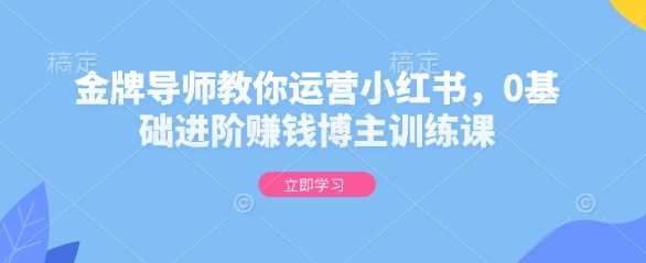 金牌导师教你运营小红书，0基础进阶赚钱博主训练课-百盟网