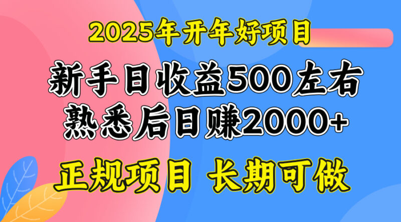 2025开年好项目,单号日收益2000左右-百盟网