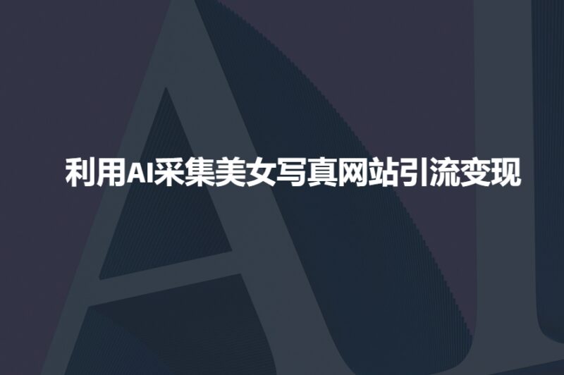 利用AI采集美女写真网站引流变现,引流嘎嘎的-百盟网