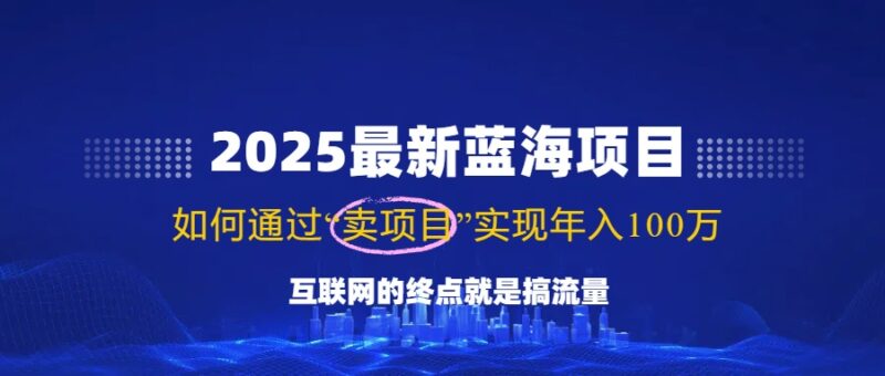 2025最新蓝海项目,零门槛轻松复制,月入10万+,新手也能操作!-百盟网