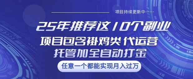 25年推荐这10个副业项目包含褂鸡类、代运营托管类、全自动打金类【揭秘】-百盟网
