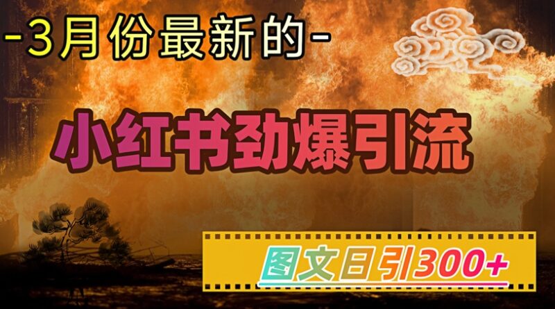 小红书超劲爆引流手段，图文日引300+轻松变现1W-百盟网