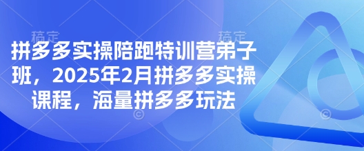 拼多多实操陪跑特训营弟子班，2025年2月拼多多实操课程，海量拼多多玩法-百盟网