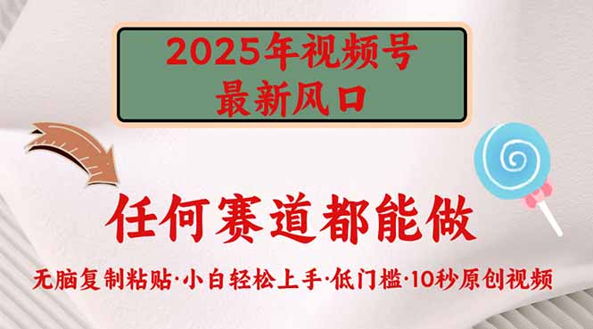 2025年视频号新风口，低门槛只需要无脑执行-百盟网
