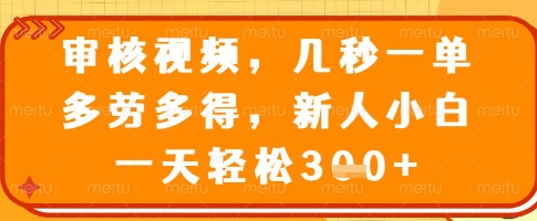 审核视频，几秒一单，多劳多得，新人小白一天轻松3张【揭秘】-百盟网