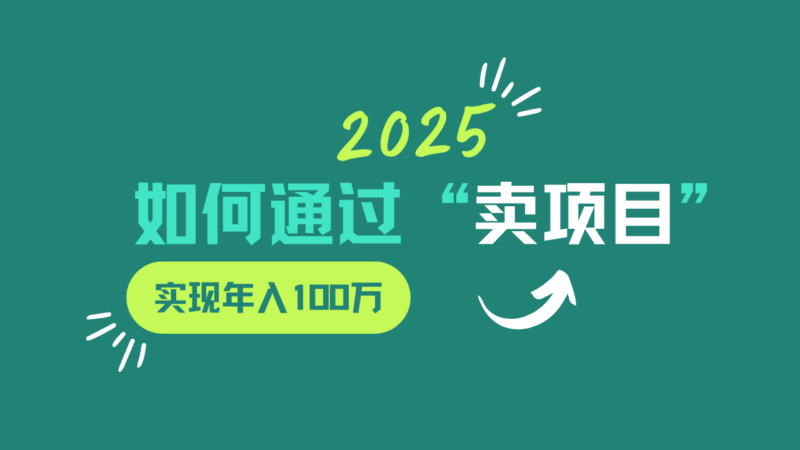 2025年如何通过“卖项目”实现年入100w-百盟网