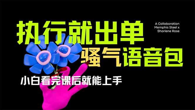 爆火全网的开车导航骚气语音包,只要执行就出单，小白看完课程就能实操…-百盟网