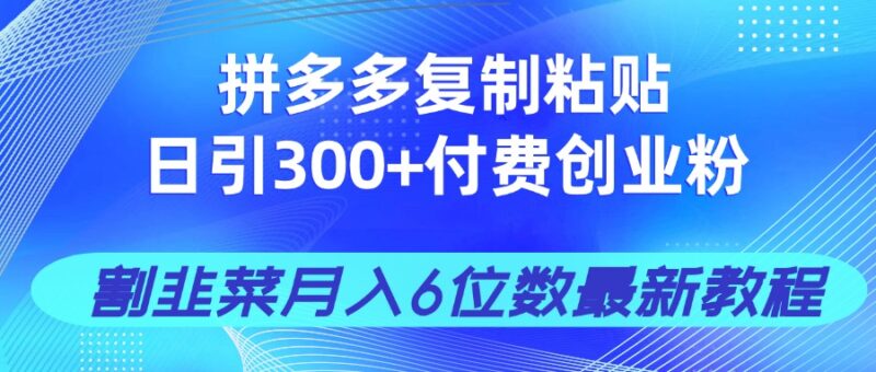 拼多多复制粘贴日引300+付费创业粉,割韭菜月入6位数最新教程!-百盟网