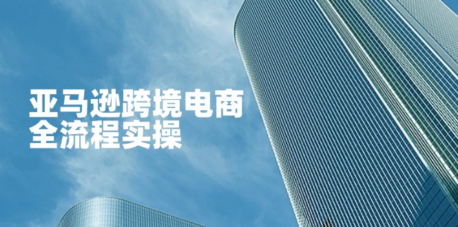 亚马逊跨境电商全流程实操，教你从零开始，掌握店铺运营与广告技巧-百盟网