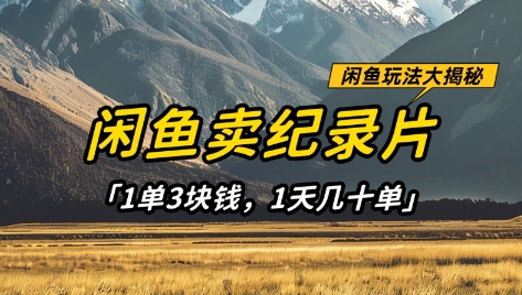 闲鱼卖纪录片1单3块钱，1天几十单，项目稳定有潜力-百盟网