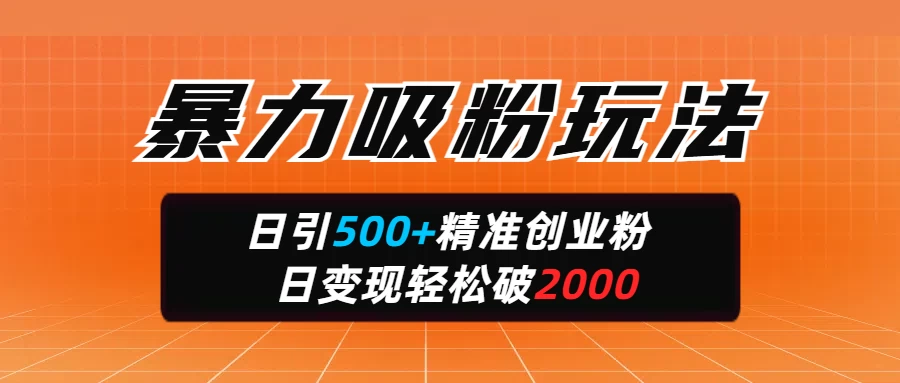 暴力吸粉玩法，日引500+精准创业粉，日变现轻松破2000-百盟网