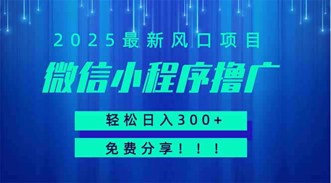 微信小程序撸广，最新风口项目，日入300+ 免费分享 可批量操作 小白可…-百盟网