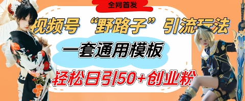 视频号“野路子”玩法，评论区疯狂截流，一套模板单日单号引流50+创业粉-百盟网