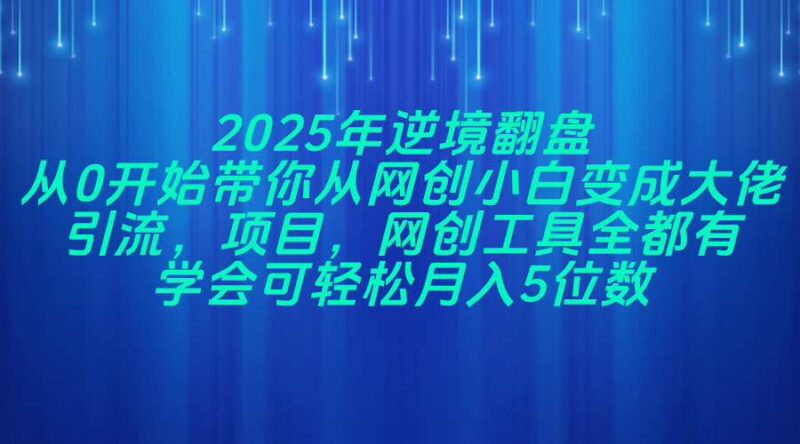 2025年逆境翻盘，从0开始带你从网创小白变成大佬，引流，项目，网创工…-百盟网