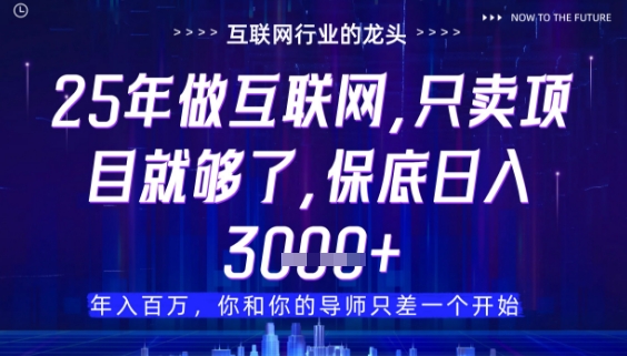 什么！25年你还在找项目做？风口早就变了，卖项目才是稳挣不赔【揭秘】-百盟网
