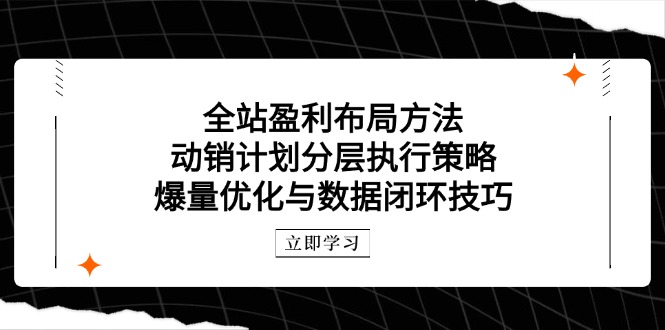 全站盈利布局方法：动销计划分层执行策略，爆量优化与数据闭环技巧-优创网