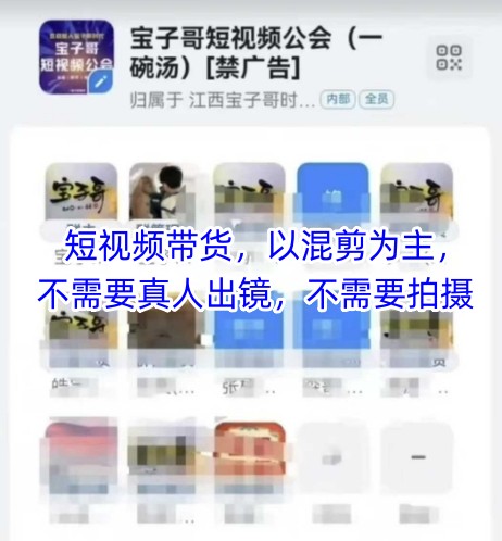 宝子哥头部团队短视频带货，以混剪为主，不需要真人出镜，不需要拍摄-百盟网